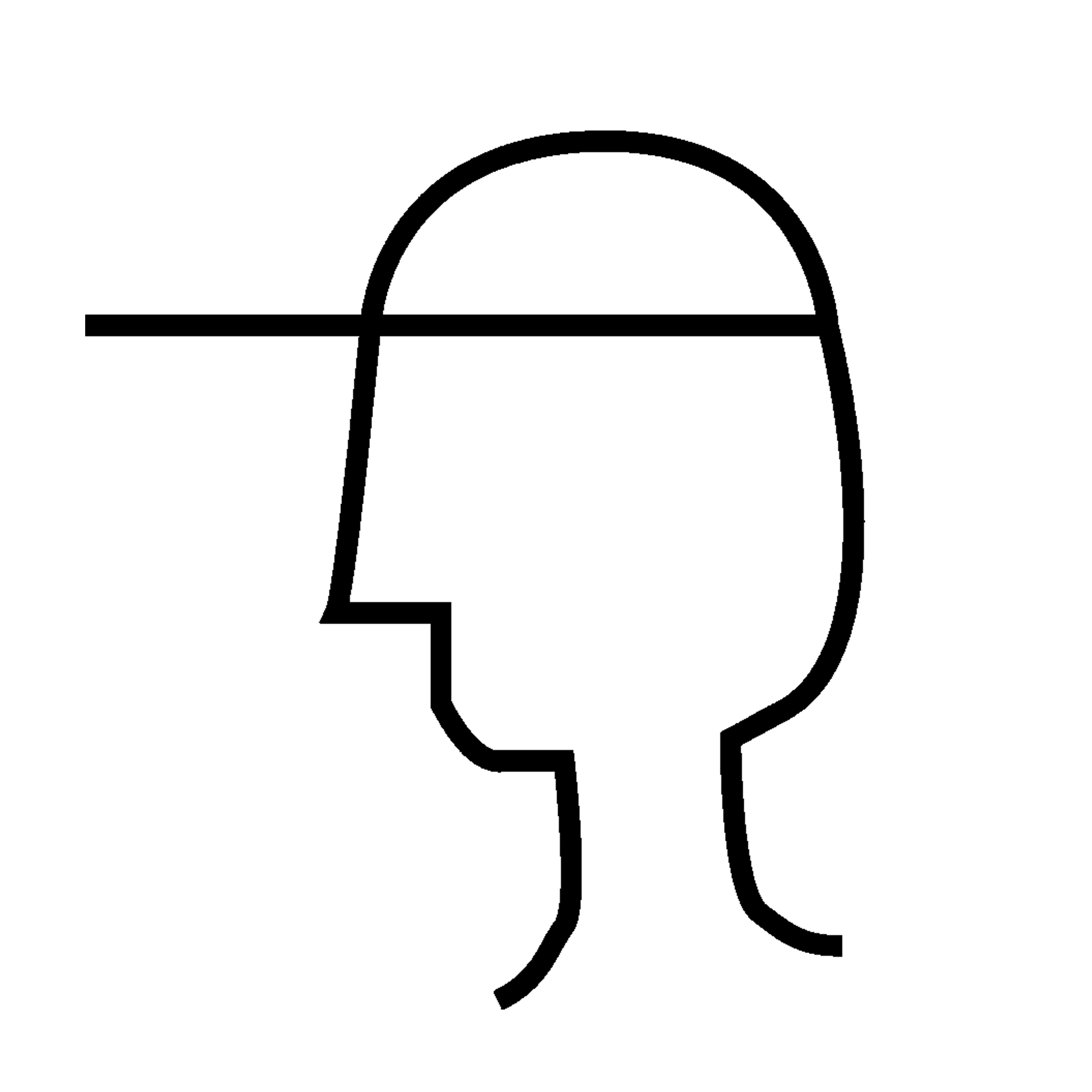 Icon 1